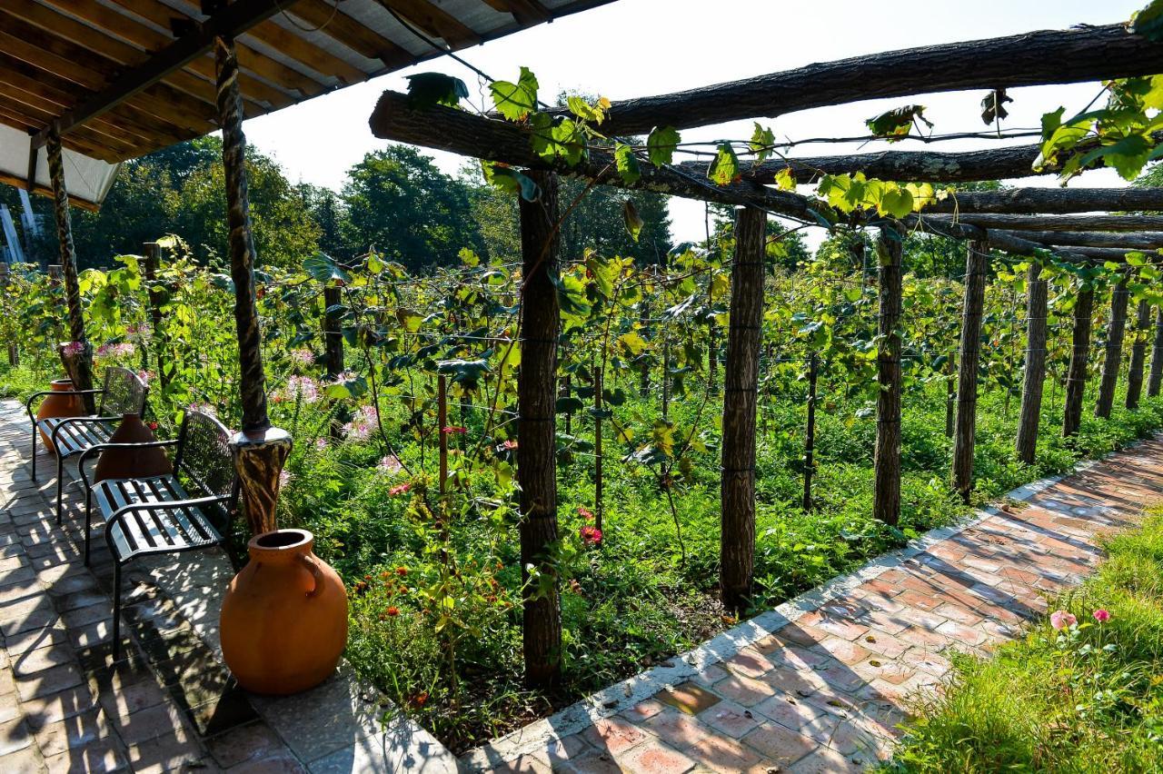 Chateau Chikovani Hotel Gordi Ngoại thất bức ảnh